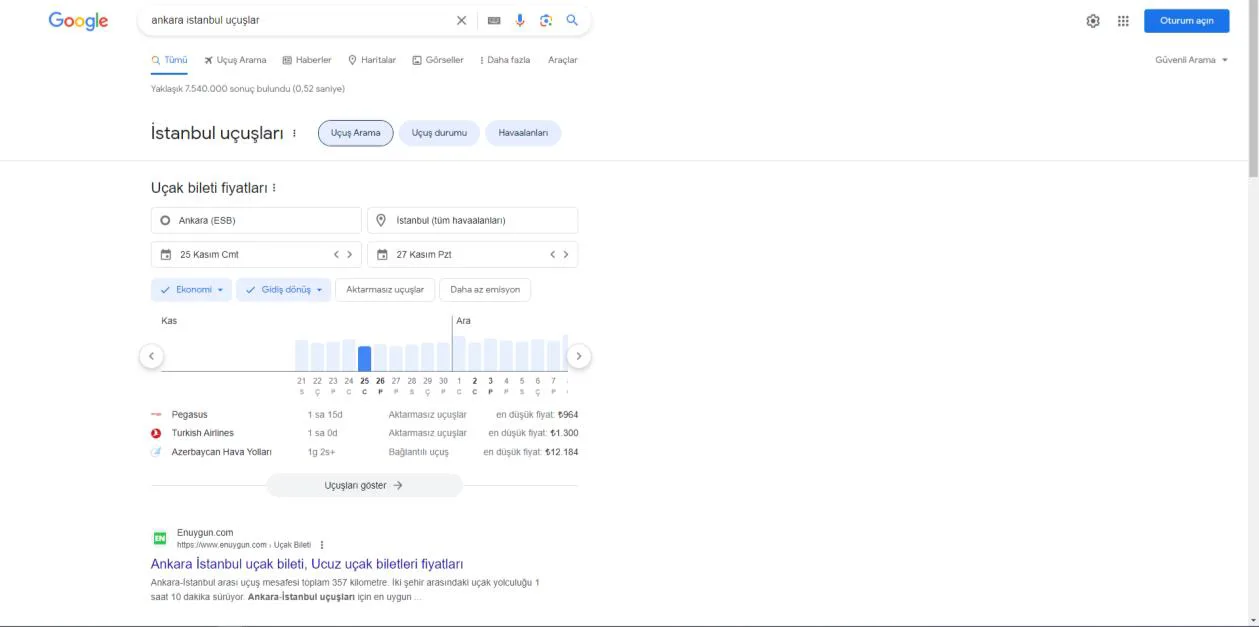 Şekil 14: 2023 Yılında SERP’te Yer Alan “Uçuş Arama” Özelliği