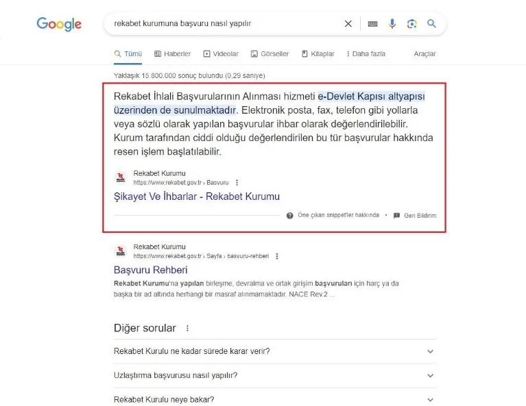 Şekil 16: SERP’te Yer Alan Bağlantılı Öne Çıkan Kart Özelliği (Bilgi Kutusu)