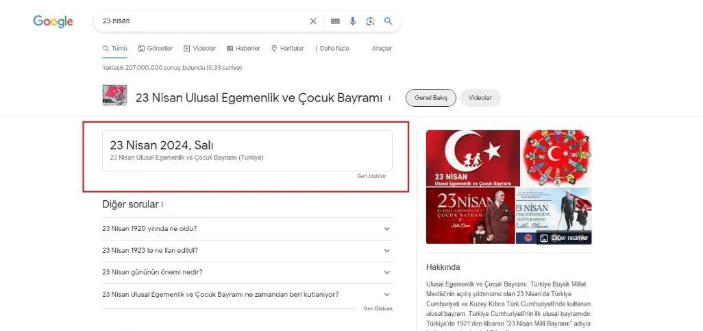 Şekil 18: 2023 Yılında SERP’te Yer Alan Bağlantısız Öne Çıkan Kart Özelliği (Bilgi Kutusu)