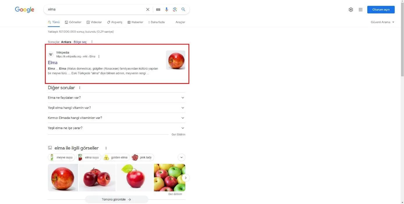 Şekil 3: 2023 Yılında SERP’te Yer Alan Mavi Bağlantılar