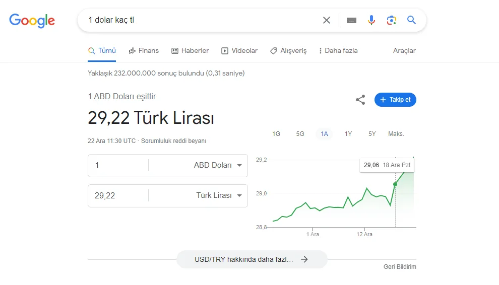 Şekil 22: 2023 Yılında SERP’te Yer Alan Bağlantısız Doğrudan Cevap Özelliği (Para Birimi Dönüştürücü)