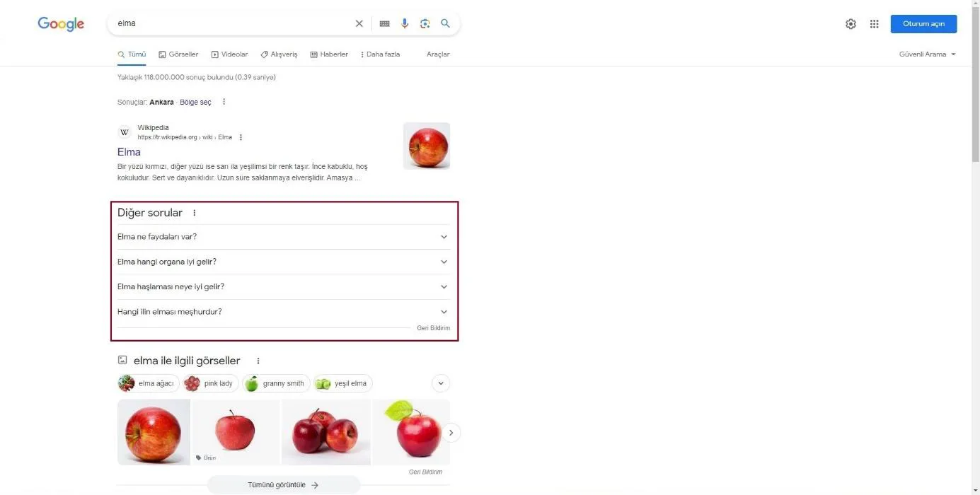 Şekil 31: 2023 Yılında SERP’te Yer Alan “Diğer Sorular” Özelliği