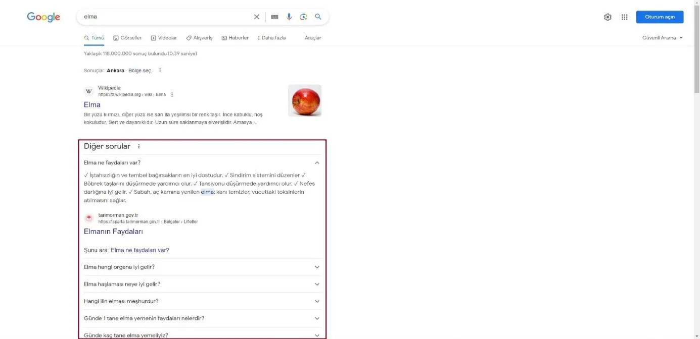 Şekil 32: 2023 Yılında SERP’te Yer Alan “Diğer Sorular” Özelliği Bünyesindeki Herhangi Bir Sonuca Tıklanırsa Karşılaşılan Sayfa