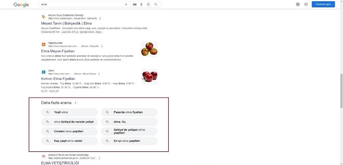 Şekil 33: 2023 Yılında SERP’te Yer Alan “Daha Fazla Arama” Özelliği