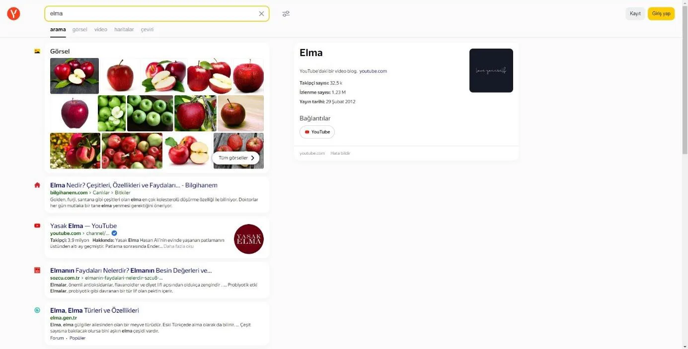 Şekil 37: YANDEX SERP Genel Görünümü
