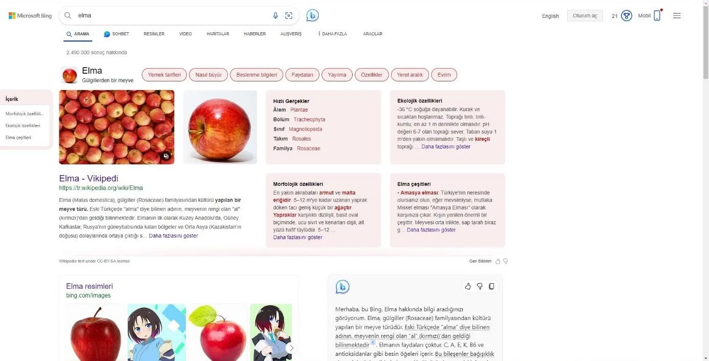 Şekil 38: BING SERP Genel Görünümü