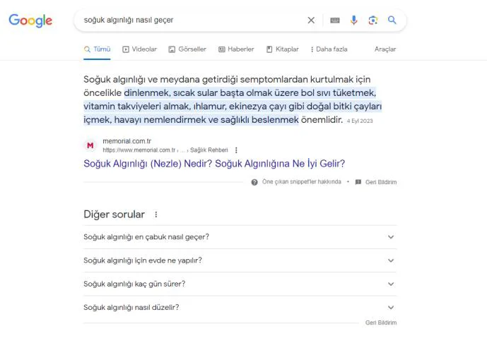Şekil 51: Diğer Sorular Özelliğinin Farklı Kategoriler Bakımından Görünümüne İlişkin Ekran Görüntüleri