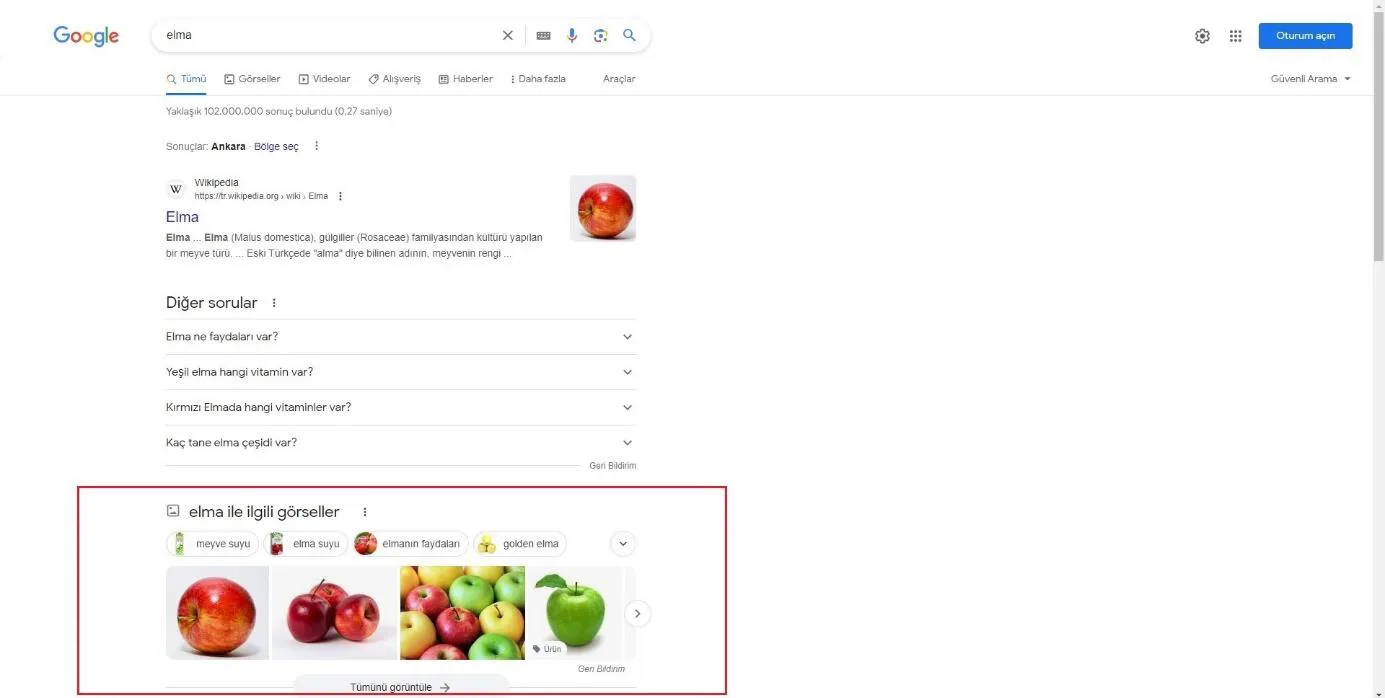 Şekil 7: 2023 Yılında SERP’te Yer Alan “Görseller” Özelliği