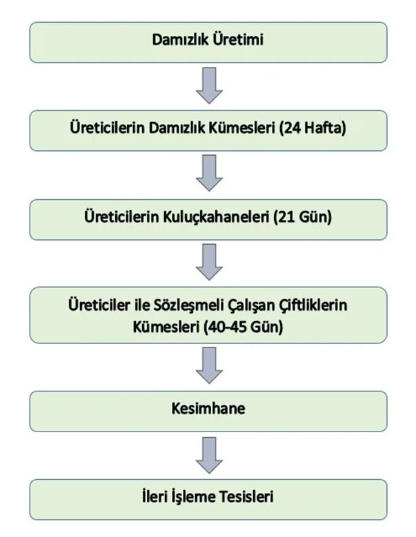 Karardaki grafik