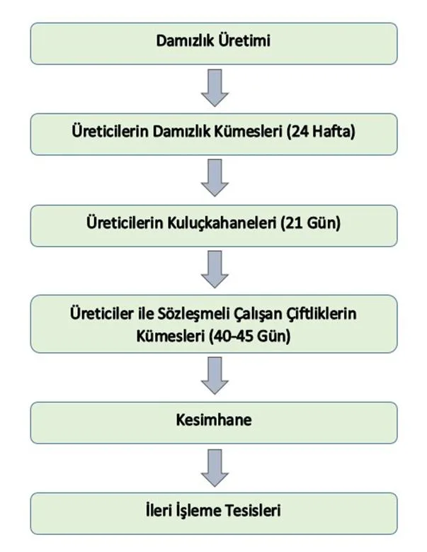 Karardaki grafik