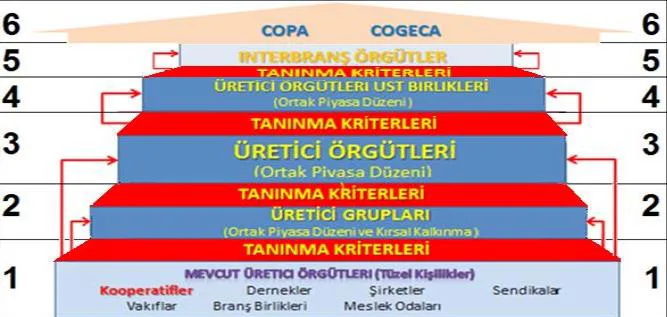 Şekil 2: AB’de Üretici Örgütlenmesi
