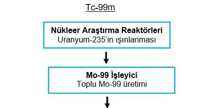 Şekil 1: Tc-99m’ye İlişkin Basitleştirilmiş SPECT Tedarik Zinciri