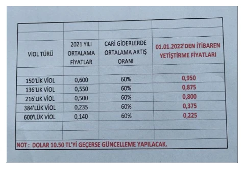 Karardaki grafik