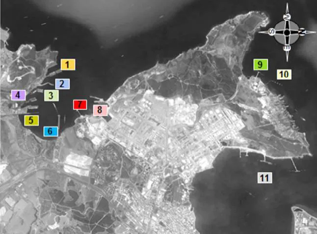 Şekil 2: Aliağa Alt Bölgesi Limanlarının Konumları