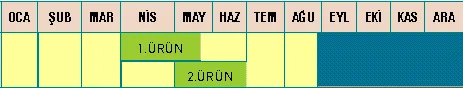 Şekil 1. Mısır Ekiliş ve Hasat Dönemleri