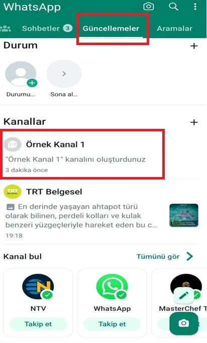 Şekil 1: Raportörler Tarafından Oluşturulmuş “Örnek Kanal 1” İsimli Kanal'ın Ekran Görüntüsü 6