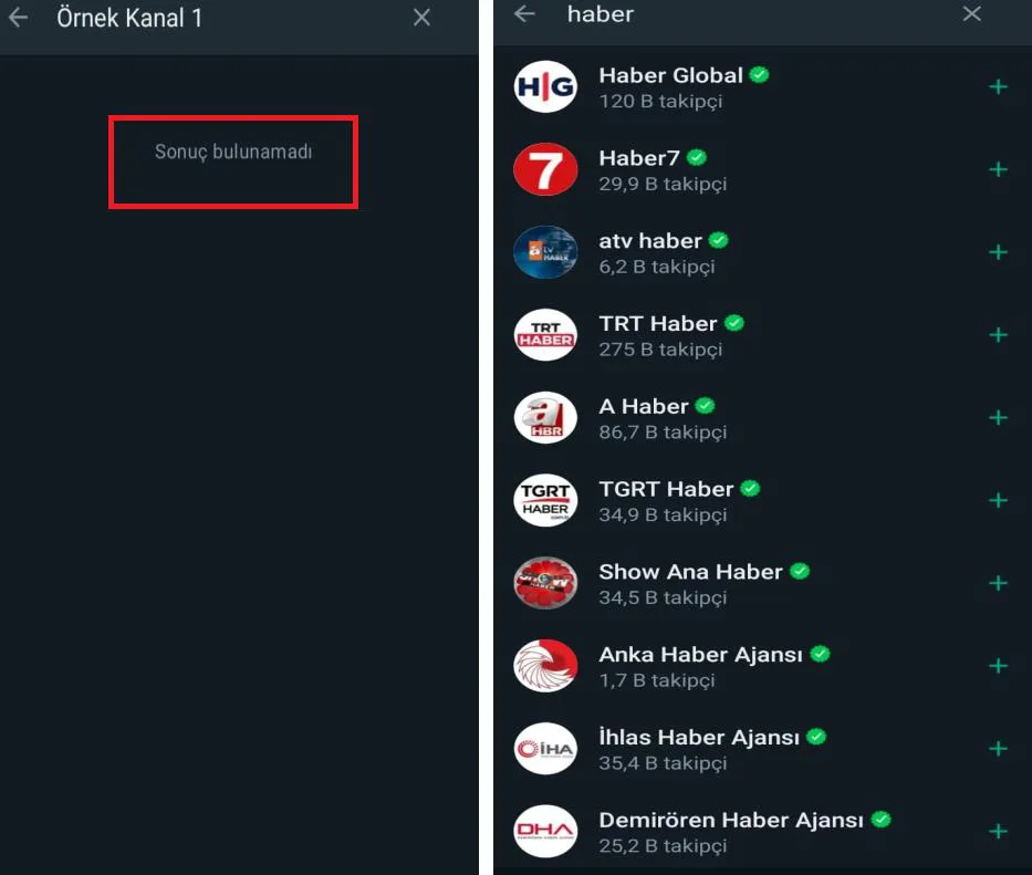 Şekil 3: Raportörler Tarafından Oluşturulmuş "Örnek Kanal 1" isimli Kanal'ın ve Doğrulanmış Kanalların Kanal Listesinde Görünürlüğü 14
