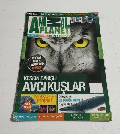 Karardaki grafik