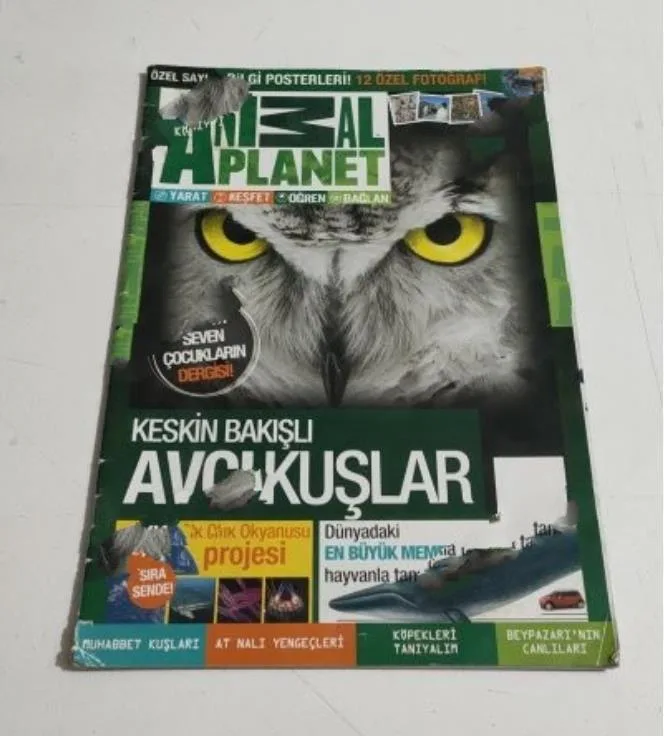 Karardaki grafik