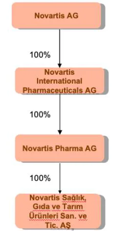 Şekil 1: NOVARTIS Hissedarlık Yapısı