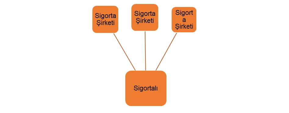 Şekil 2: Açık Koasürans