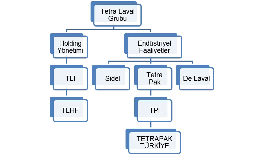 Şekil 10: Tetra Laval Grubunun Operasyonel Yapısı