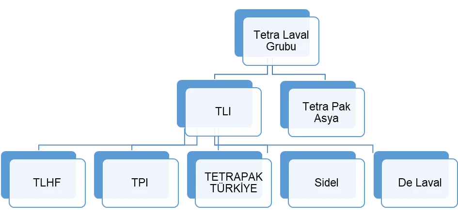 Şekil 11: Tetra Laval Grubunun Hissedarlık Yapısı