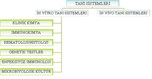 Şekil 1: Tanı Sistemleri Pazarı ve Alt Segmentleri