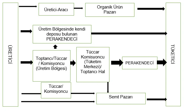 Şekil 1: Yaş Meyve ve Sebze Tedarik Zinciri