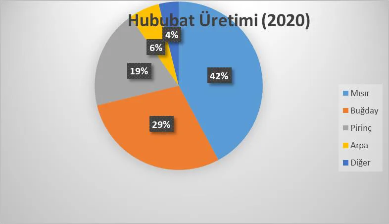 Grafik-4: Dünya Hububat Üretiminde Ürünlerin Payı (2020)